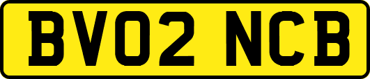 BV02NCB
