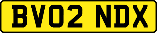 BV02NDX