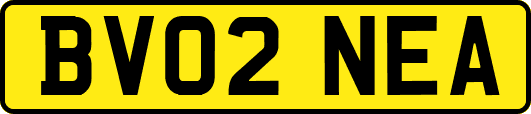 BV02NEA