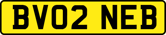 BV02NEB