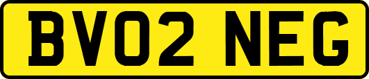 BV02NEG