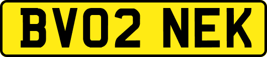 BV02NEK
