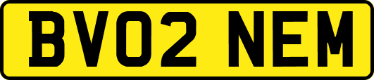 BV02NEM
