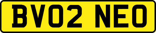 BV02NEO