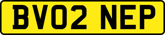 BV02NEP