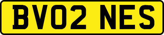 BV02NES