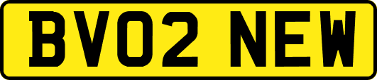 BV02NEW