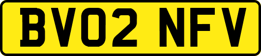 BV02NFV