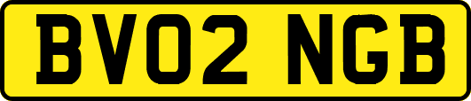 BV02NGB