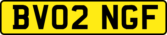 BV02NGF