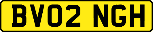 BV02NGH