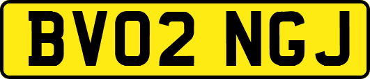 BV02NGJ