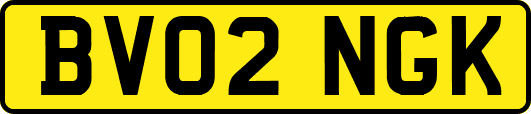 BV02NGK