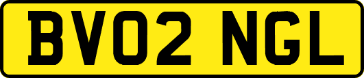 BV02NGL