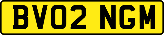 BV02NGM