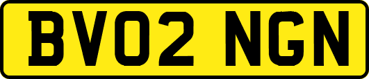 BV02NGN