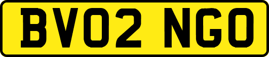 BV02NGO