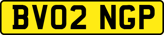 BV02NGP