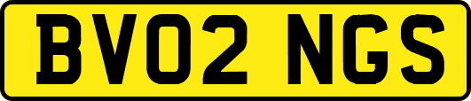 BV02NGS