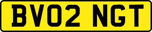 BV02NGT