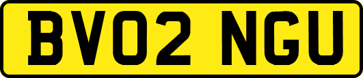 BV02NGU