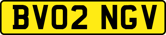 BV02NGV