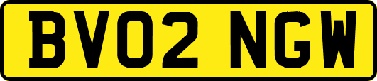 BV02NGW