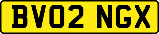 BV02NGX