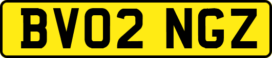 BV02NGZ