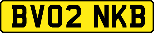 BV02NKB