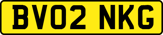 BV02NKG