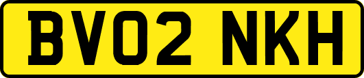 BV02NKH