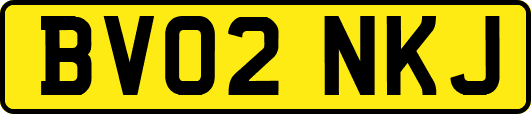 BV02NKJ