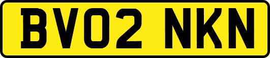 BV02NKN