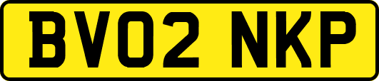BV02NKP