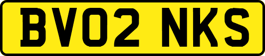 BV02NKS