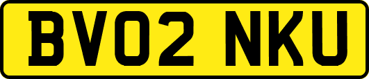 BV02NKU