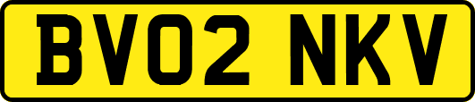 BV02NKV