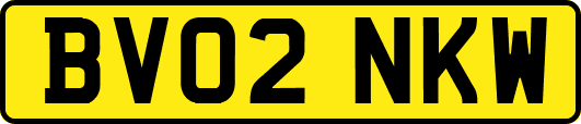 BV02NKW