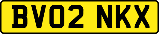 BV02NKX