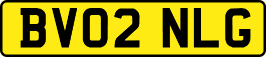 BV02NLG
