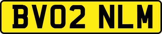 BV02NLM