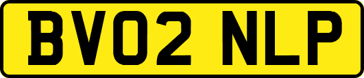 BV02NLP