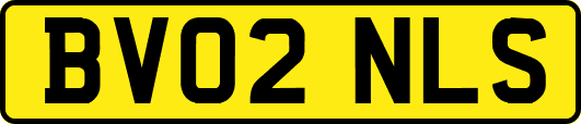 BV02NLS