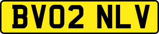 BV02NLV