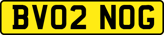 BV02NOG