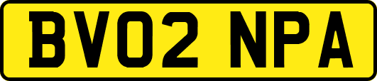 BV02NPA