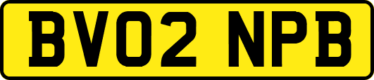 BV02NPB