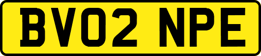 BV02NPE