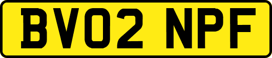 BV02NPF